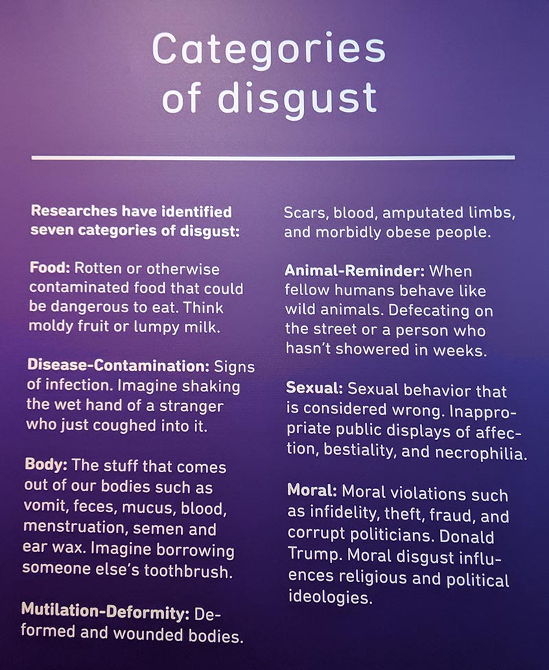 Categories of disgust